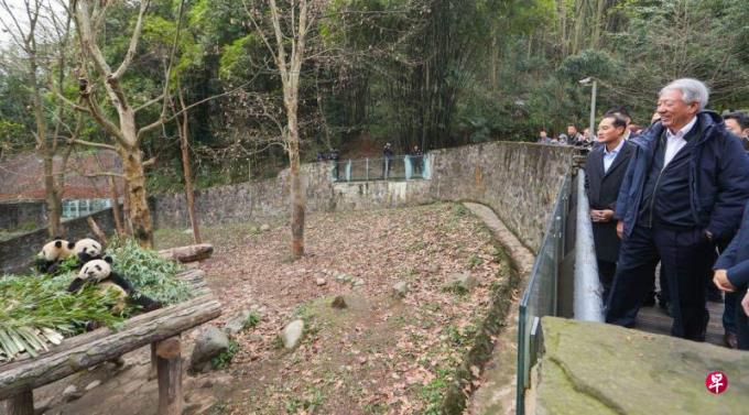 张志贤:不探望叻叻 四川行不完整