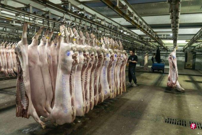 中欧贸易摩擦升级 中国警告可能对进口自欧盟的猪肉征收临时关税