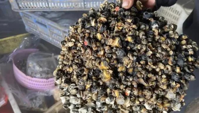 暗访福寿螺产业链续:未发现进口资质,“过师傅”被责令补正螺肉串标签