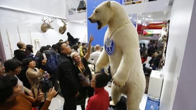 中国从2018年起开展进口博览会,希望促进外贸,以应对关税。