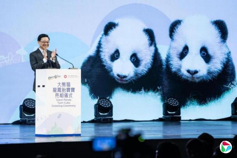 香港推出大熊猫龙凤胎命名比赛 上半年公布结果