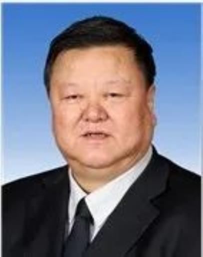 打虎!王会民被查