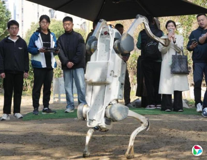 杨建业:杭州六小龙为何短时间内难复制?