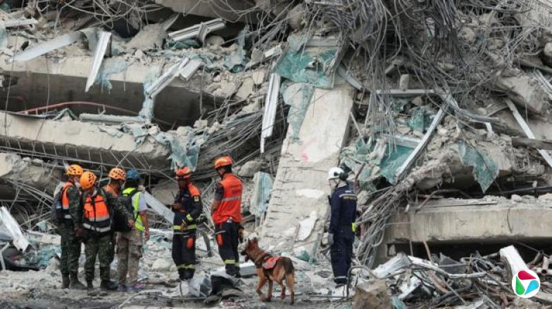 3月30日,泰国曼谷,救援人员在一栋因强震而倒塌的建筑物现场与一只搜救狗一起工作。