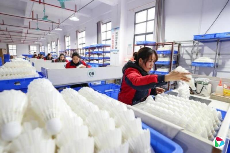 中国羽毛球价格涨幅据报超过黄金