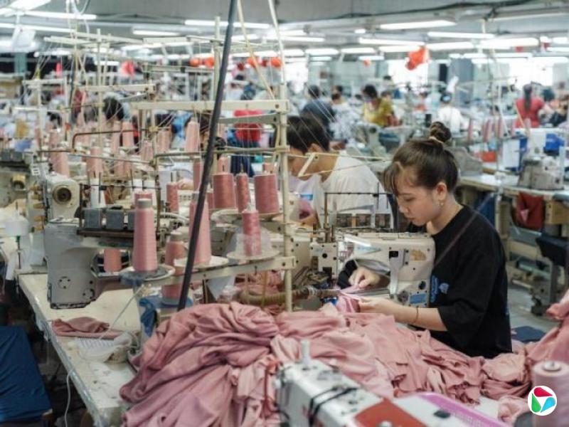 Խϴйתʾ ѧߣӰԽϵ