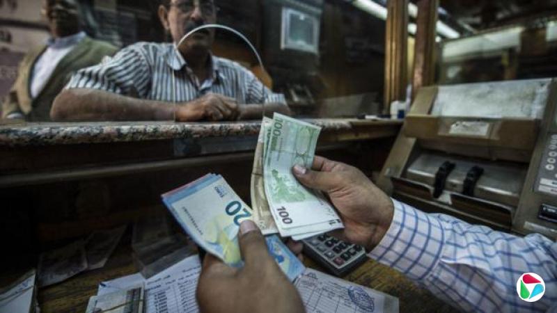 埃及开罗一名员工正在清点钞票