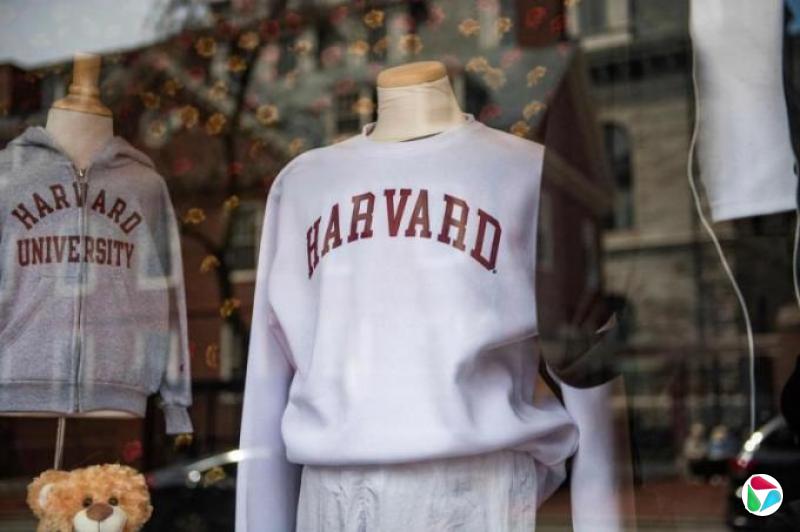 港澳发声欢迎受特朗普政策影响的哈佛学生