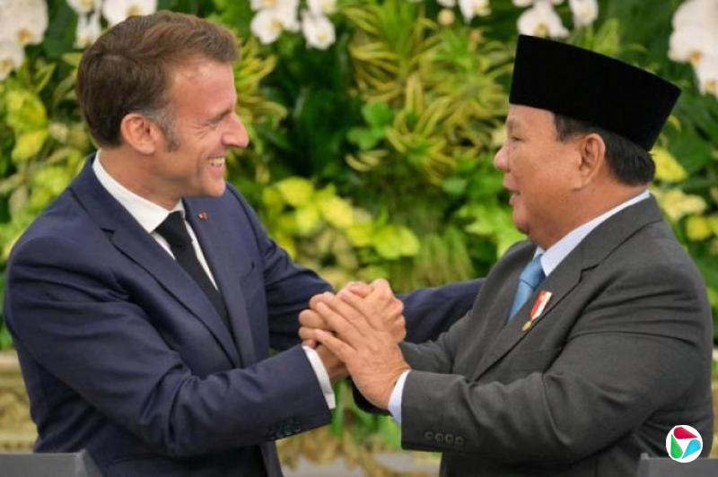 ֻ֣Ҫϰ˹̹ ӡԸɫн