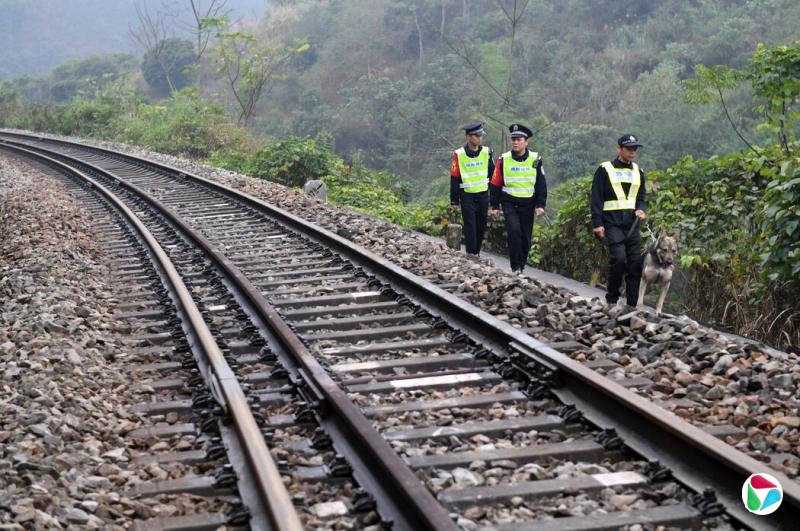 2020꣬һӹͨԽϵ·Ѳߡй˽ʱᴩԽԽ߾ɽֽϡ⡣