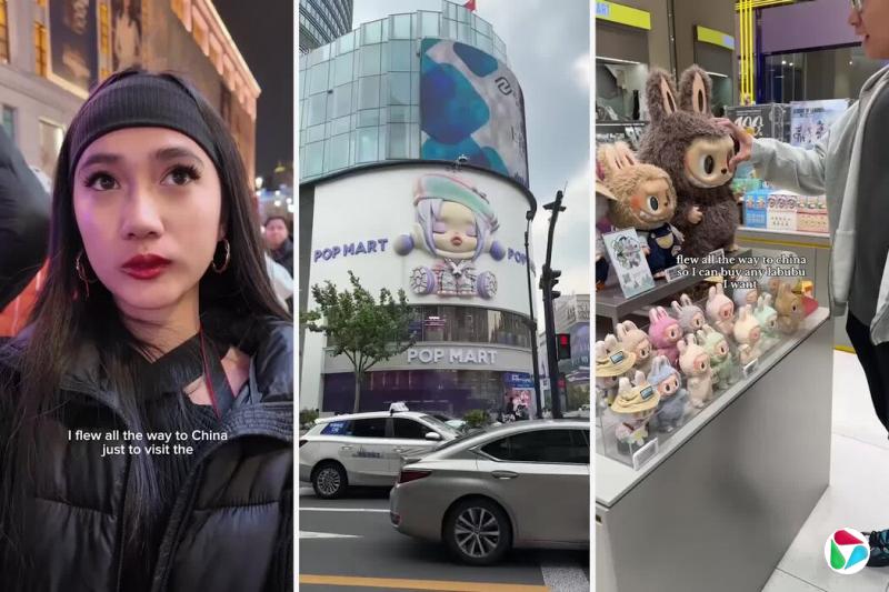 TikTokϵݴ߷ǲιй̵ľ