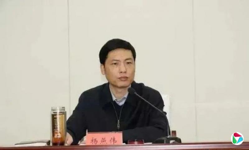 官宣!厅长杨燕伟被查