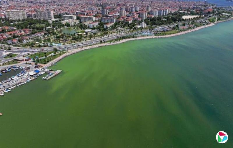 2024612գܶĿͼʾڸֳˮɫΪɫɫ