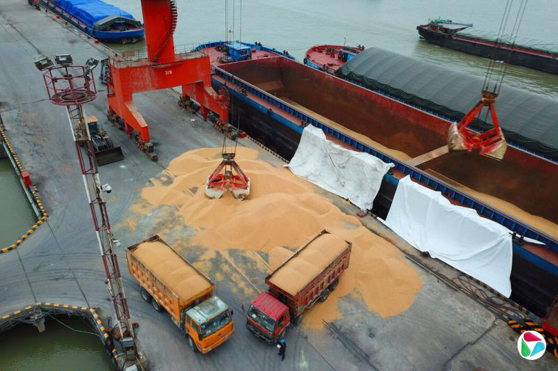 йĳۿж԰Ĵ󶹡ȥʮ꣬аó׶Լһ