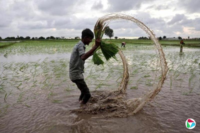 Եȹ˰ʵʩǰһ  ӡӡӽЭ顱պ̴