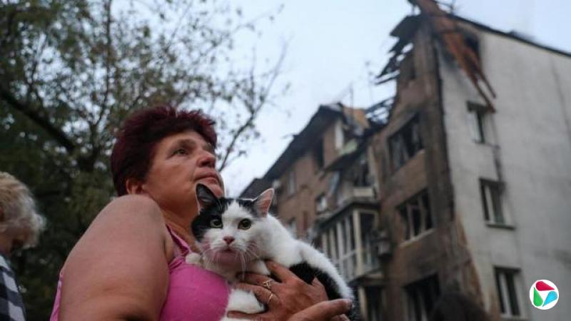 һŮڻһ710˹ڵеĽǰһֻè