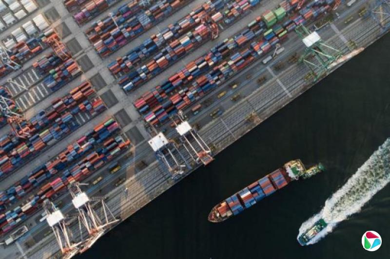 ˰̸ʱ洵81ǰЭ鼸޿