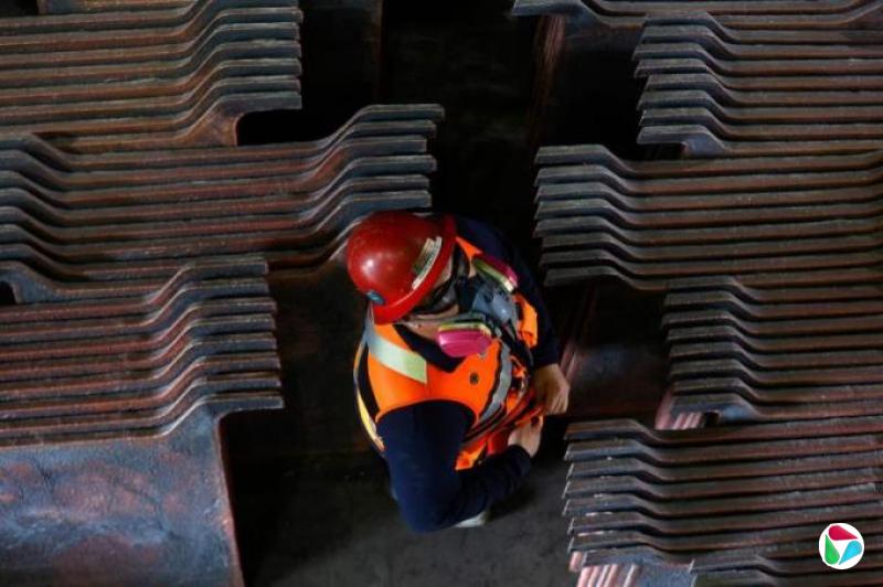 81ͭƷ50%˰ СԤͭ۴