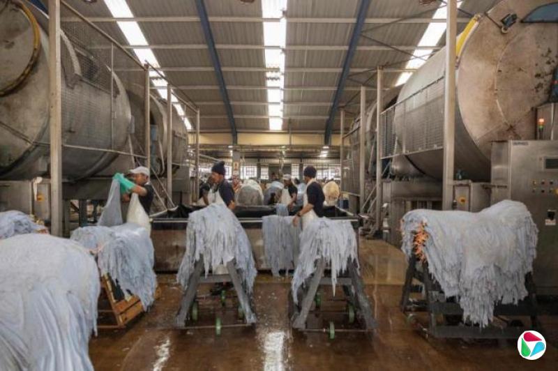 רңչ˰ȫóϵӰ Э̸