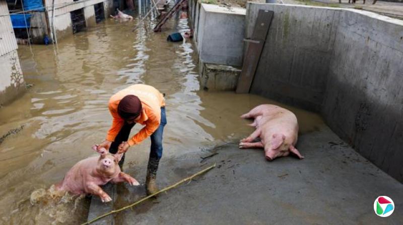 ̨ϲ֣ͼΪ729ռһũͽˮеֻߡ