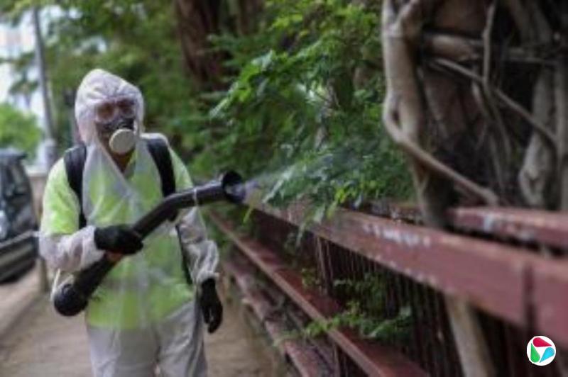 广州荔湾13家机构防蚊不力被罚