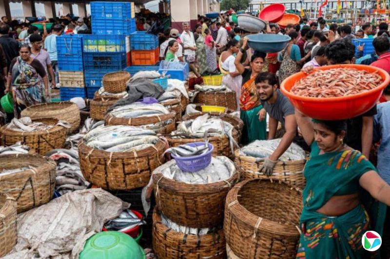 ֪ߣӡȸ߶˰Чǰ ȡ̸