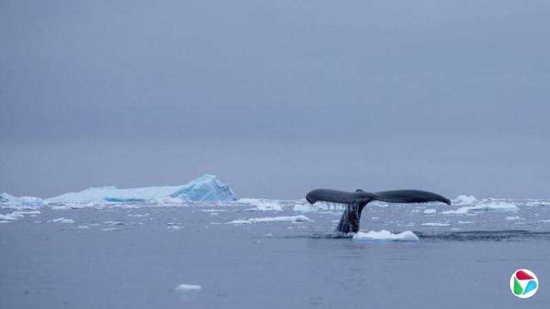 ͷβˮǱϼ뵺ĺʱƽɢŸ