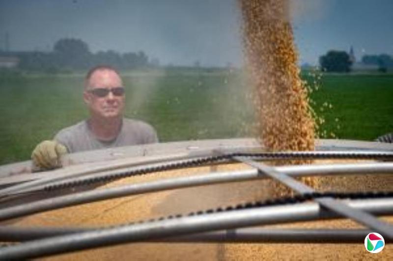 л棺ũҵӦλ ũӦΪóս