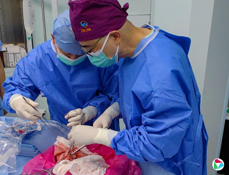 νУңйҽƴѧͬ½һֻ༭ֲһ39ϡ