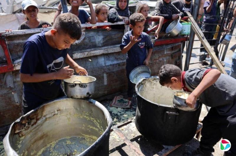 段跃初:加沙饥荒考验人类良知