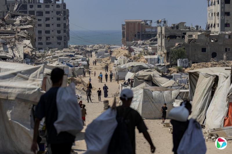 һɫоƻԼɳǷȫ󣬼ɳǱİ˹̹ڷ׷԰