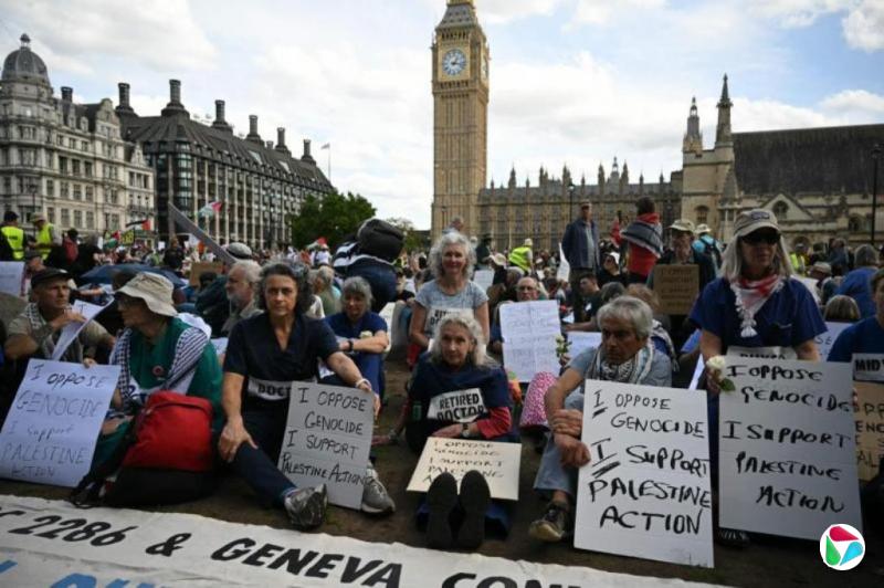 支持“巴勒斯坦行动”示威活动 英国逮捕逾425人