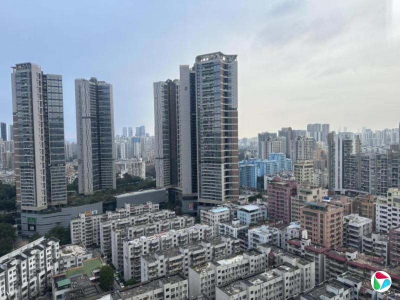 中国一线城市全面放开非核心区限购 分析师预计仍有政策加码空间