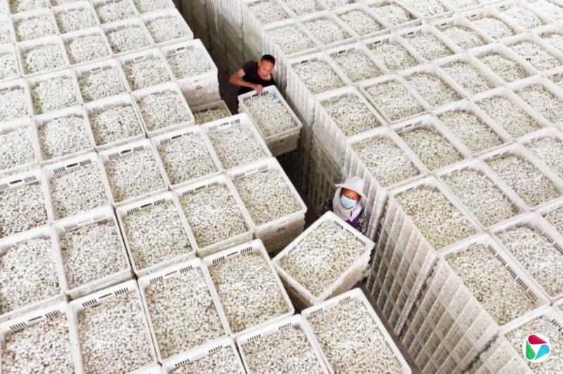 中国8月多项指标下滑增长势头再度减弱