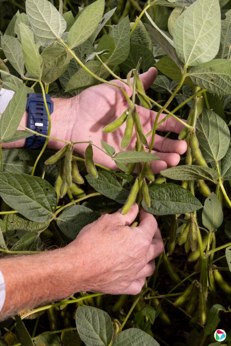 美国大豆协会主席、50岁的乔什·加克尔表示:“化肥、农药、土地成本、设备成本等所有投入成本都在上涨。”