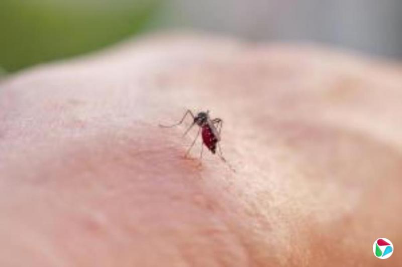 㶫3000׿Ȳ רңƽܿɢ