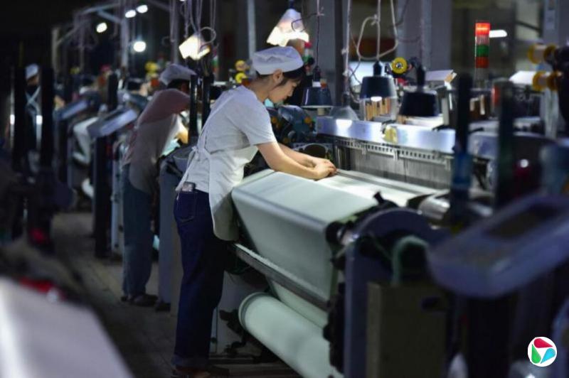 йGDPŻ4.8% ʦԤȫĿʵ