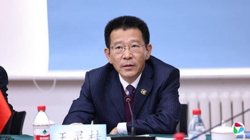 中国侨联主席王灵桂被免去港澳办副主任职务