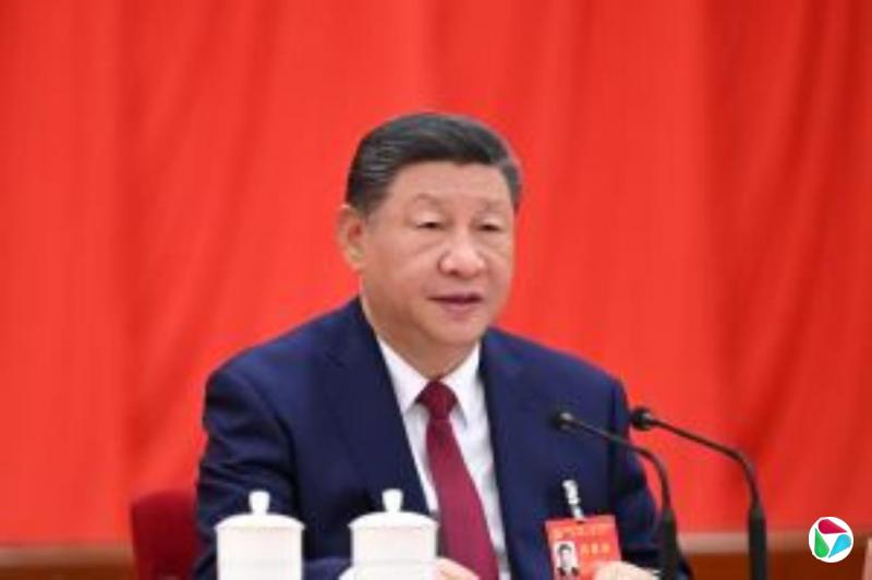 ʮ塱巢 йδꡰʵٶȡչ