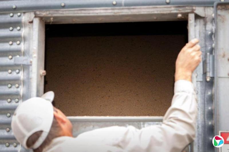 消息人士:习特会前中国首次采购美国今年当季大豆