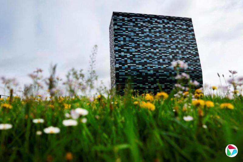 安世半导体前CEO被指拟将设备专利转移至中国