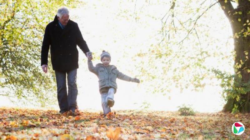 һλ곤ʿ׵ҶɢҫűԽ֦ҶǶűůס