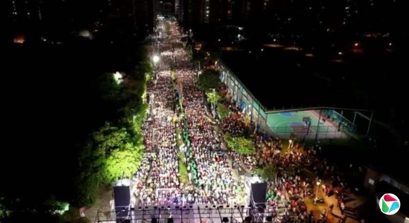 台绿委林岱桦高雄造势万人到场 游盈隆:投下超级变数