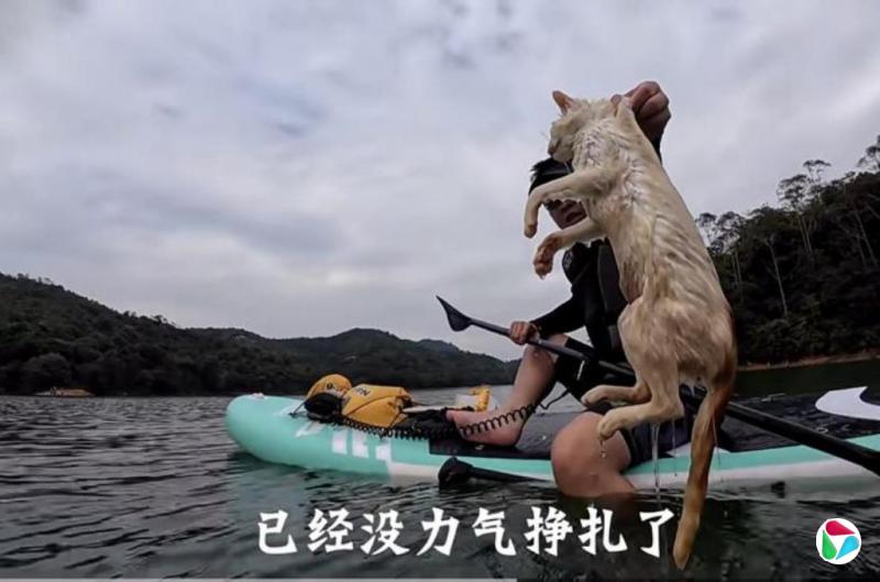 㶫ˮԡèֻ СèˮȾˮԴ