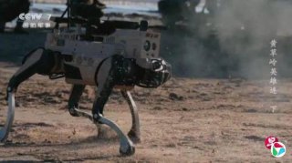 <b>죺ǡͶ̨սȺ̲</b>