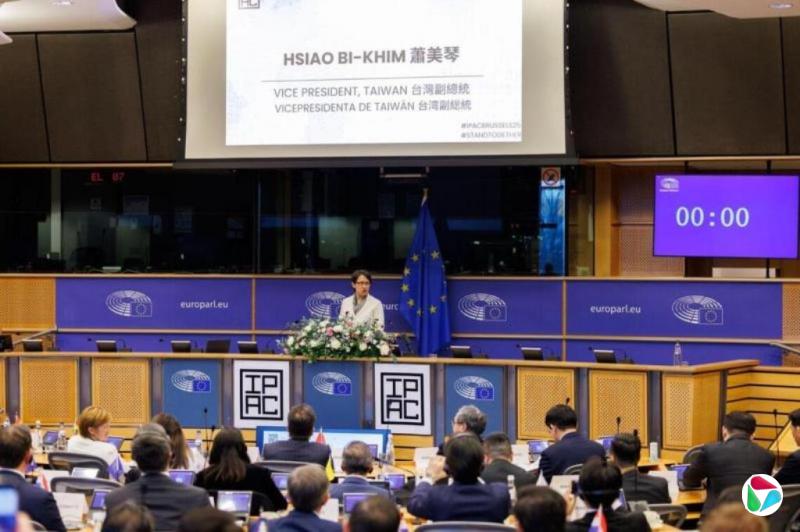 北京抗议萧美琴在布鲁塞尔欧洲议会演讲