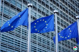 ŷ֤ʵ̽鱨λͳﹲͬ鱨