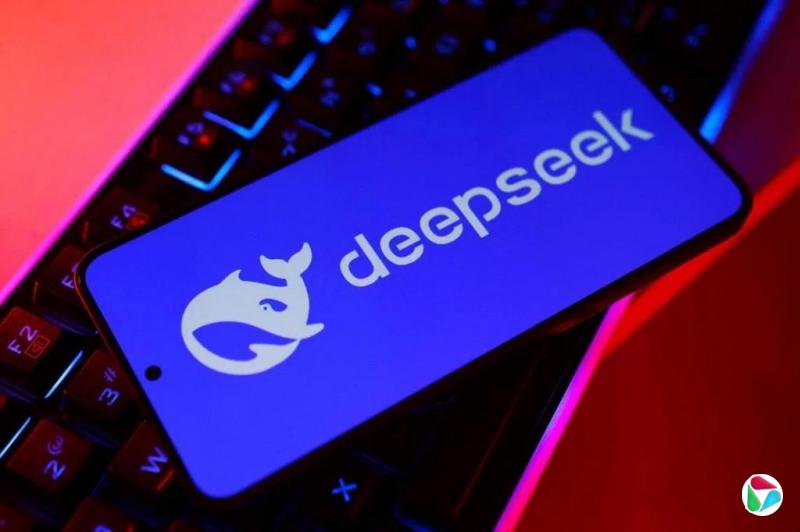������ֹ�������û���ʹ��DeepSeek��Ʒ�����