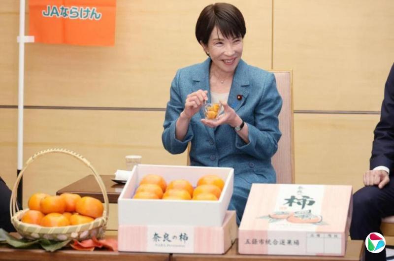 日本舆论对首相高市的言论褒贬不一