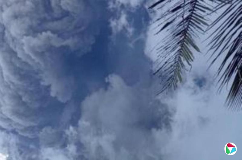 ӡ÷³ɽ緢 ɽ߰ȫɢ